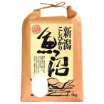 千亀利 【令和7年産】�