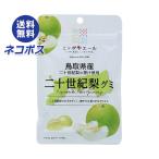 ネコポス JA全農 ニッポンエール 鳥取県産二十世紀梨 グミ 40g×10袋入｜ 全国送料無料