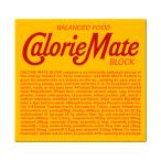 大塚製薬 カロリーメイト ブロック チョコレート味 1箱(4本入)×30箱入×(2ケース)｜ 送料無料