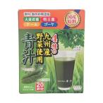 新日配薬品 自然の極み青汁 3g×20包×5箱入×(2ケース)｜ 送料無料