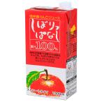 寿高原食品 信州産りんごジュース しぼりっぱなし 100%ストレート 1000ml紙パック×6本入×(2ケース)| 送料無料