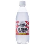 友桝飲料 乳酸菌入りサイダー 500ml�