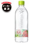 コカコーラ い・ろ・は・す もも(いろはす もも) 540mlペットボトル×24本入×(2ケース) メーカー直送|全国送料無料