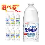 サンガリア 伊賀の天然水 炭酸水 選べる2ケースセット 1Lペットボトル×24(12×2)本入| 送料無料