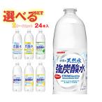 ショッピング炭酸水 サンガリア 伊賀の天然水 炭酸水 選べる2ケースセット 1Lペットボトル×24(12×2)本入｜ 送料無料