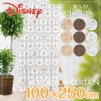 AR[fBIJ[e J[e d؂ Ԏd؂ p^p^ O XN[ v[cXN[ Disney fBYj[ ~bL[ ~j[ v[ 100~250cm