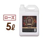  массаж масло rose 5Lnachurelabo Dio il вода .. массаж масло массаж масло масло массаж для бизнеса Pro zbi aroma массаж масло 