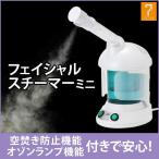 フェイススチーマー ミニ 卓上 コンパクト 美顔器 美顔 エステ フェイシャル イオン 乾燥対策 毛穴ケア 出張エステ サロン オゾン スチーム 角度自由調整 業務用