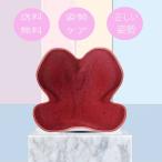 座椅子 座布団 骨盤サポートチェア 姿勢矯正 クッション オフィス チェア ボディメイクシート スタイル 腰痛 クッション 椅子 オフィス 猫背矯正 車 自宅用