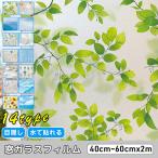  тонировка стёкол пленкой окно глаз .. сиденье стекло сиденье цветочный принт плитка mo The ik оборудование орнамент затемнение сиденье . электро- .. предотвращение УФ фильтр частный день разница . меры 