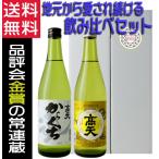 日本酒 高天 からくち 通 500ml ×2本 日本酒セット ギフトセット 御祝い 内祝い 長野県 高天酒造