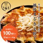 越後まるきよ餃子 100個 餃子セット 冷凍 餃子 ギョウザ ギョーザ お取り寄せ 冷凍餃子 冷凍ぎょうざ もちもち 肉汁 美味しい 取り寄せ 肉汁餃子 まとめ買い