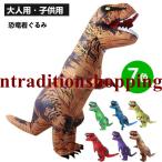 ティラノサウルス レース 顔出し 恐竜コスプレ  エアコス 恐竜着ぐるみ 怪獣 イベント コスプレ コスチューム空気充填 膨張式 パーティー