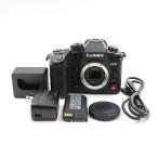 PANASONIC LUMIX GH6