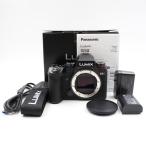 シャッター数132枚 PANASONIC LUMIX S5II ボディ DC-S5M2 フルサイズミラーレス一眼カメラ パナソニック