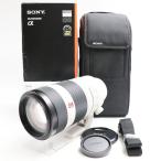 SONY FE 100-400mm F4.5-5.6 GM OSS