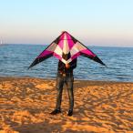  кайт кайт кайт ../ Stunt a черный кайт 180cm * лиловый 