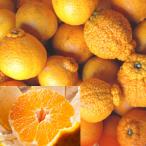 ショッピングデコポン デコポン 訳あり 約 4kg 農薬不使用 広島県産 でこぽん