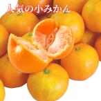 愛媛 みかん 小玉みかん 10kg 西宇和 ミカン 小みかん 愛媛みかん 小粒