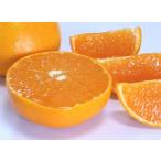 ショッピングせとか せとか みかん 優品 20-24個 約5kg 愛媛県産 せとか 贈答 ギフト