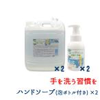 ショッピングハンドソープ 薬用 ハンドソープ 清々華 5L 業務用 2本組 泡立てボトル付き 殺菌 消毒 医薬部外品 詰替え 感染対策 手指 もこもこ 泡 手洗い 職場 保育園 幼稚園 厨房 店 施設