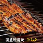 ショッピングうなぎ お値打ちサイズ　国産鰻蒲焼２パック　手焼き　送料無料　冷蔵クール便　ギフト　お祝い　誕生日　贈りもの