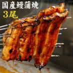 国産うなぎ 手焼き 国産鰻蒲焼3尾 送料無料 冷蔵クール便 ギフト お祝い 誕生日 贈りもの