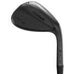 ショッピングウェッジ クリーブランド　2025 RTZ ブラック ADAPT ウェッジ　US仕様 DYNAMIC GOLD SPINNER TOUR ISSUE　スチールシャフト　[cleveland RTZ Black]