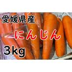  Ehime префектура производство морковь морковь 3kg