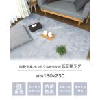 ラグ 低反発 極厚 もっちり 180×230 ３畳 ウレタン ラグマット 送料無料 滑り止め付 遮音 rug マット 低反発ラグ ホットカーペット ラグ カーペット 超PayPay祭