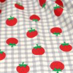 生地 布地 布 無料レシピ有 チェックといちご オックス生地 再入荷01回目 苺柄 strawberry ストロベリー 入園 入学 バッグ エプロン メルマガ商品 50cm単位