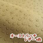 [122×20cm cut ткань ] кожзаменитель кожа ткань несгораемый Ostrich все 6 цвет [OST-C20]