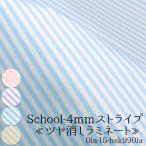  ткань ткань ткань School-4mm полоса блеск удаление ламинирование ткань блеск удаление ламинирование полоса входить . входить .50cm единица измерения 