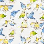 FUWARI. ткань oks 2 длиннохвостый попугай оттенок белого земля 5 цвет 1m единица измерения ткань ткань ткань длиннохвостый попугай рисунок длиннохвостый попугай рисунок ткань птица птица рисунок хлопок ткань почтовый заказ входить . входить .