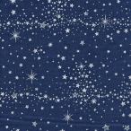 オックス 星降る空 スター シルバースター×ネイビーブルー系地 4色 1m単位 生地 布 星 星柄