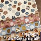 [110×50cm 5 шт. комплект ] кошка рисунок ткань ткань рука .. кошка oks хлопок 100% 50cm единица измерения распродажа коммерческий использование возможно .. рисунок кошка рука .. кошка 5 -цветный набор 