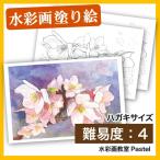 [ покрытие . акварель открытка ] Sakura ( открытка )