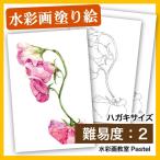 [ покрытие . акварель открытка ] техасский колокольчик 