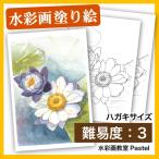 [ покрытие . акварель открытка ]. obi водяная лилия 