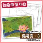  лотос. цветок 