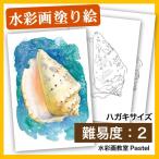 [ открытка покрытие . акварель натюрморт ] раковина 