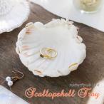 スカラップシェルトレイハワイアン雑...