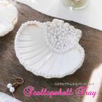 スカラップシェル＆パールトレイハワ...