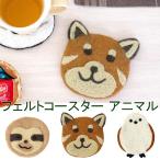 コースターアニマルナマケモノレッサ...