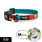首輪 Mサイズ 中型犬用 WOLFGANG MAN &