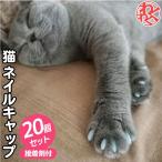 【在庫処分特価】猫 ネイルキャップ 20個セット接着剤付  カバー ひっかき傷防止 自傷防止 カラフル ネイルカバー グルーミング ふく福 つけつめ 可愛い
