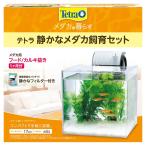 テトラメダカ飼育セットSF-17KF