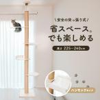 キャットタワー 木製 突っ張り ハンモック付き アクリルボウル 爪とぎ 猫 タワー 猫タワー キャットハウス 突張式アスレチックタワー 1011106003