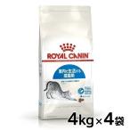 ショッピングロイヤルカナン ロイヤルカナン 猫用 インドア4Kg 4個セット D キャットフード 猫用 フード 猫