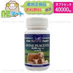 ショッピングknh 羊 プラセンタ 40000mg 60カプセル 高濃縮 プラセンタ サプリ ニュージーランド（NZヘルスフード社）｜産地正規品｜送料込み｜追跡発送｜